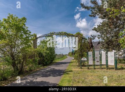 Weinberge im Rhein Main Regional Park in der Nähe der Floersheimer Warte Stockfoto