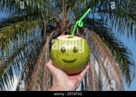 Grüne Kokosnuss mit gezogenen Emoji. Tropisches Kokoswasser im Selektivfokus. Künstlerisches Foto Stockfoto