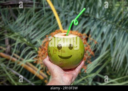 Grüne Kokosnuss mit gezogenen Emoji. Tropisches Kokoswasser im Selektivfokus. Künstlerisches Foto Stockfoto