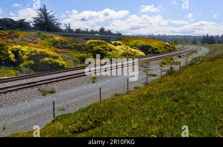 Kurvige Bahnstrecke mit grünen Eispflanzen rechts und gelben Blumen links. Stockfoto