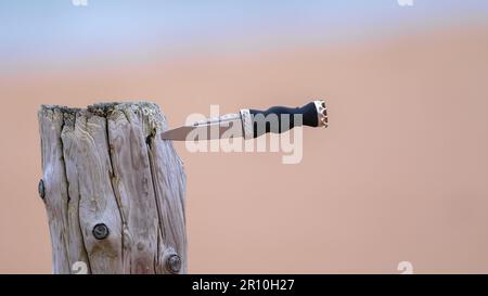 Sgian Dubh dirk Dolch am Ufer Stockfoto