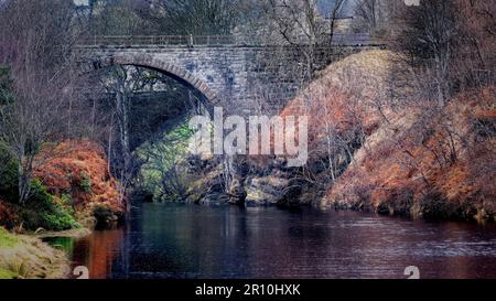 Der Fluss Brora fließt unter der Eisenbahnbrücke und dem Eisbecken, wobei die Frühlingsfarbe zum Leben erwacht Stockfoto