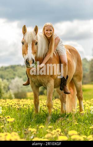 Eine junge blonde Frau und ihr haflinger-Pferd genießen ihre Zeit im Frühling draußen. Freundschaftsszene zwischen einer weiblichen Reiterin und ihrem Pony Stockfoto
