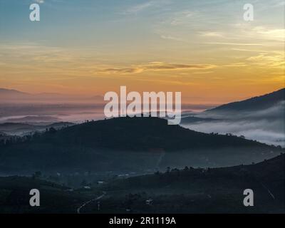 Magischer Blick auf Da Lat, Vietnam. Die Kiefernwälder sind am frühen Morgen von Nebel umhüllt. Stockfoto