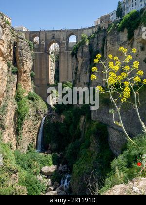 Blick auf die Neue Brücke in Ronda Stockfoto