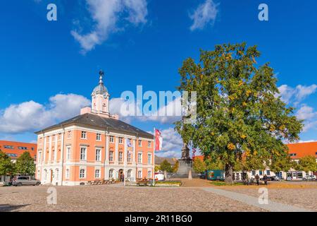 Historisches Rathaus auf dem Marktplatz Templin, Uckermark, Brandenburg Stockfoto