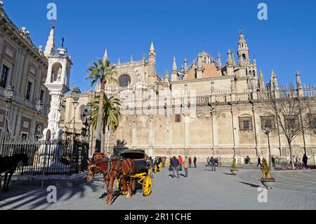 Pferdekutsche, Plaza del Triunfo, Kathedrale Santa Maria de la Sede, Sevilla, Provinz Sevilla, Andalusien, Spanien Stockfoto