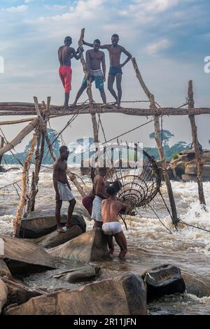 Einheimische Fischer aus dem Stamm der Wagenya, dem Fluss Kongo, Kisangani und der DR Kongo Stockfoto