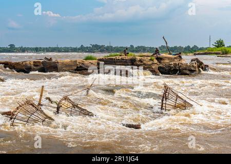 Angelkorb des Wagenya-Stammes, Kisangani, Kongo, DR Kongo Stockfoto