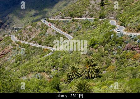 Kurven, Haarnadelkurven, Serpentinenstraße im Masca-Tal, Masca-Schlucht, Schutzmauer, Straßengrenze, Teneriffa, Spanien Stockfoto