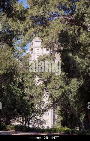 Ein modernes Apartmentturmgebäude ist fast versteckt hinter großen, reifen tamarix-Bäumen in einer Parkanlage in Beer Sheva in Israel Stockfoto