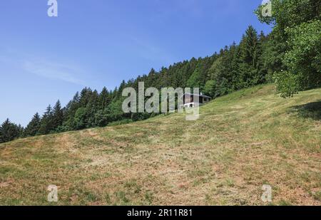 Wunderschönes Haus im Hintergrund des Waldes in den schweizer alpen Stockfoto