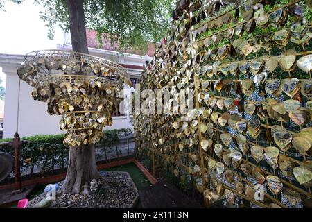 Herzförmiger Liebesreiz in einem Garten in Wat Saket, Bangkok, Thailand. Stockfoto