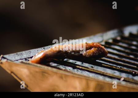 Gegrilltes Hähnchen auf einem heißen Ofen Beliebte Campinggerichte Stockfoto