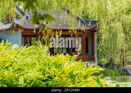 Einer der vielen unverwechselbaren chinesischen Pavillons in den Chinese Gardens of Friendship in Sydney, Australien Stockfoto