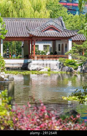 Einer der vielen unverwechselbaren chinesischen Pavillons in den Chinese Gardens of Friendship in Sydney, Australien Stockfoto