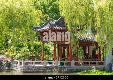 Der Peace Boat Pavillon, eines von vielen verschiedenen Bauten im Chinese Gardens of Friendship in Sydney, Australien Stockfoto