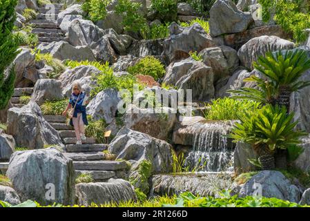 Ein Terrassengarten mit großen Felsen, eine gewundene Steintreppe und ein Wasserfall im Chinese Gardens of Friendship in Sydney, Australien Stockfoto