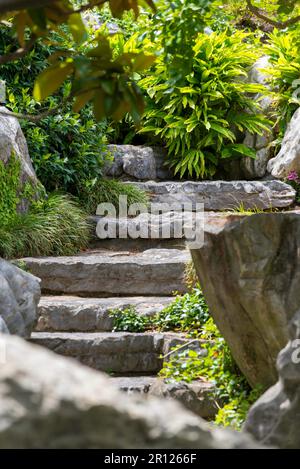 Ein Terrassengarten mit großen Felsen und eine gewundene Steintreppe im Chinese Gardens of Friendship in Sydney, Australien Stockfoto