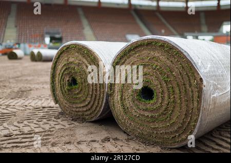 Big rolls of grass lays on a football field at the stadium. Stockfoto