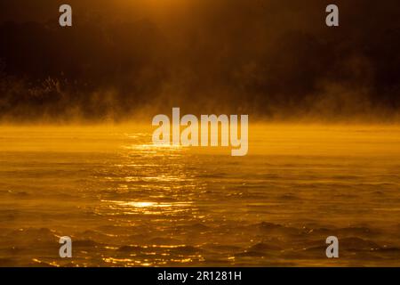 Sonnenaufgang über dem Sambesi-Fluss, die Wasseroberfläche leuchtet in leuchtenden orangefarbenen Farben auf, Nebel steigt aus dem Wasser auf. Sambesi, Simbabwe, Afrika Stockfoto