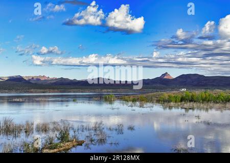 Panoramablick über die Rawhide Mountains und den Alamo Lake in der Morgensonne, Arizona, USA. Freizeitfahrzeug auf einem Vorgewende in der Ferne geparkt. Stockfoto