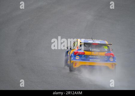 BTCC 2023, British Touring Car Championship, Brands Hatch Circuit, Ash Sutton, Nummer 116, Napa Racing UK. Ford Focus, Rennen im Regen Stockfoto