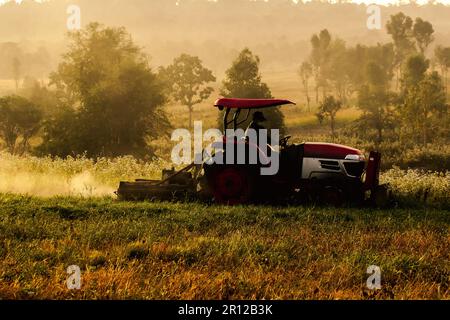 Ein Mann, der einen Rasenmäher fährt, ein Traktor, der auf dem Land arbeitet. Stockfoto