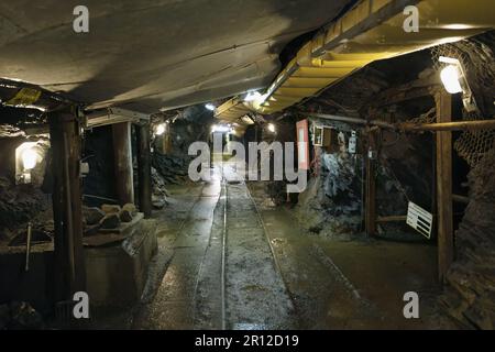 Grubengalerie, Bergwerk Rammelsberg, Goslar, Harz, Niedersachsen, Deutschland Stockfoto