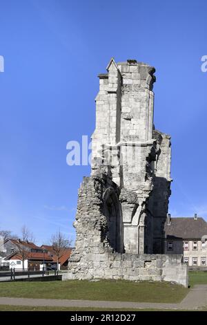 Kaiserliche Walkenried Zisterzienserabtei, Walkenried, Harz, Niedersachsen, Deutschland Stockfoto