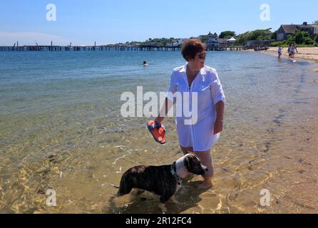 Eine Dame, die mit einem Hund im Meer paddelt Stockfoto