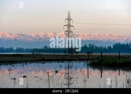 Anantnag, Indien. 11. Mai 2023. Die schneebedeckte Pir Panjal Bergkette spiegelt sich während des Sonnenaufgangs in Südkaschmir im Wasser auf dem Feld wider. (Foto: Idrees Abbas/SOPA Images/Sipa USA) Guthaben: SIPA USA/Alamy Live News Stockfoto