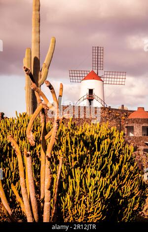 Ein Bild einer Wüstenlandschaft mit einer großen Kaktuspflanze im Vordergrund und einer Windmühle hoch oben auf einem Berg im Hintergrund Stockfoto