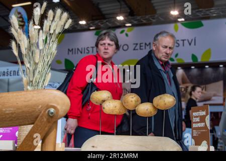 Ceske Budejovice, Tschechische Republik. 11. Mai 2023. Beginn der jährlichen Ausstellung 30. Hobby für Heimwerker und Gärtner, Beginn der ersten jährlichen Messe Czech Food Expo in Ceske Budejovice, Tschechische Republik, 11. Mai 2023. Der Verkäufer bietet viele Arten von Setzlingen, Samen, Bäumen, Büschen sowie Geräte für den Garten oder Haushaltsgegenstände an. Kredit: Vaclav Pancer/CTK Photo/Alamy Live News Stockfoto