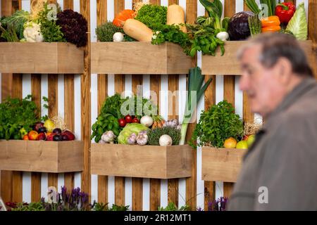 Ceske Budejovice, Tschechische Republik. 11. Mai 2023. Beginn der jährlichen Ausstellung 30. Hobby für Heimwerker und Gärtner, Beginn der ersten jährlichen Messe Czech Food Expo in Ceske Budejovice, Tschechische Republik, 11. Mai 2023. Der Verkäufer bietet viele Arten von Setzlingen, Samen, Bäumen, Büschen sowie Geräte für den Garten oder Haushaltsgegenstände an. Kredit: Vaclav Pancer/CTK Photo/Alamy Live News Stockfoto