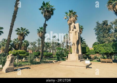 Stehende Statue von Ramses II auf dem Hintergrund von grünen Palmen im Freilichtmuseum von Memphis, Ägypten Stockfoto