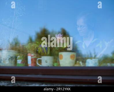 Eine ältere Dame durch ein Fenster mit Pflanztöpfen, die den Himmel reflektieren, und Bäumen im Hintergrund Stockfoto