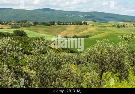 Landschaft der Toskana, Hügel und Wiesen, Zentralitalien - Europa - ländliche Landschaft Zentralitaliens - Europa Stockfoto