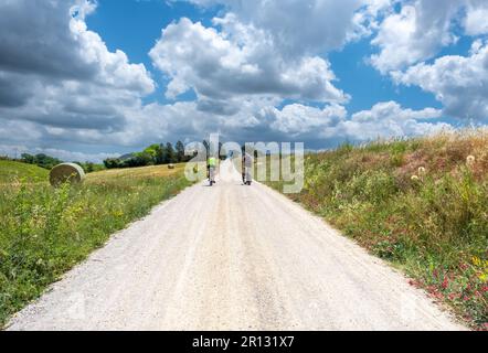 Landschaft entlang des Francigena-Pfads zwischen Ponte d'Arbia und San Quirico d'Orcia, Toskana in Mittelitalien - Provinz Siena - Europa Stockfoto