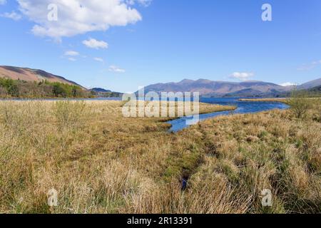 Über Sümpfe und kleine Bäche bis zur weiten Ausdehnung des Derwent-Wassers im Frühling. Stockfoto