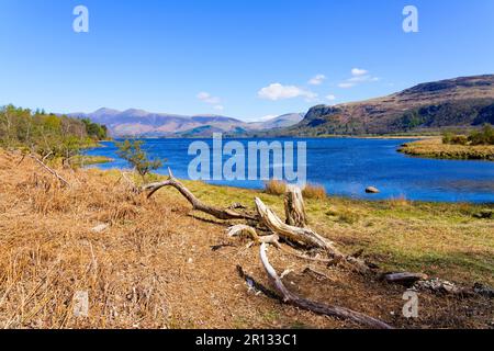 Frühlingsmorgen am Ufer des Derwent Wassers mit Blick von Great Bay über einen fernen Keswick. Stockfoto