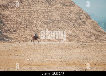 Kamele mit Beduinen wandern durch die Wüste in der Nähe der Großen Pyramide von Khufu in Gizeh bei Kairo, Ägypten. Stockfoto