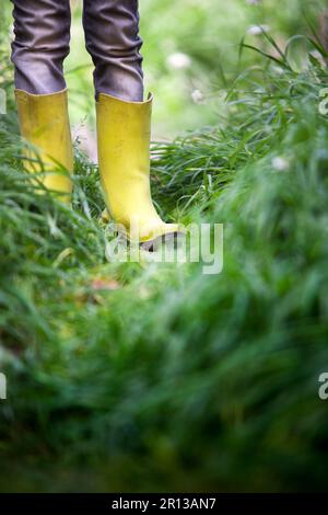 Die Beine eines Kindes stehen inmitten einer lebendigen grünen Wiese und genießen die Schönheit und Ruhe der Natur. Stockfoto
