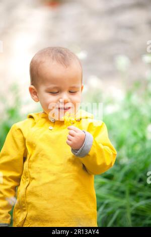 Ein Kind mit einer gelben Jacke steht mitten auf einer grünen Wiese und beobachtet sorgfältig eine zarte gelbe Blume in ihren Händen. Stockfoto