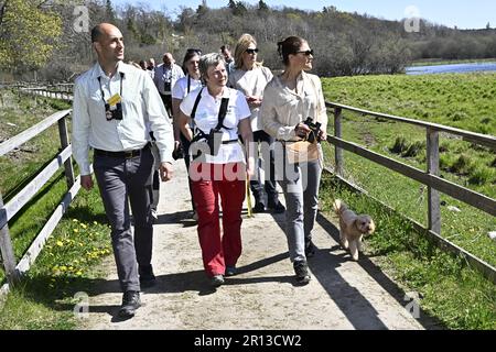 Krone Prinzessin Victoria mit ihrem Hund Rio und Alexander Antonelli und Yvonne Blombäck aus dem WWF während eines Ausflugs in Hjälstaviken in Verbindung mit t Stockfoto