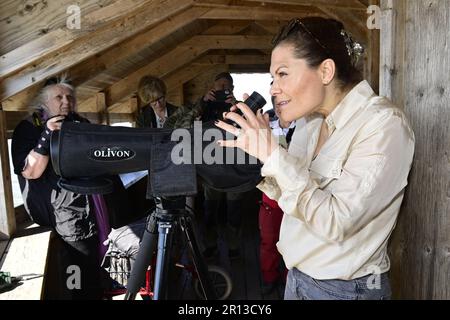 Crown Princess Victoria während eines Ausflugs in Hjälstaviken im Zusammenhang mit der Jahrestagung des World Wildlife Fund WWF im Schloss Ekolsund Stockfoto