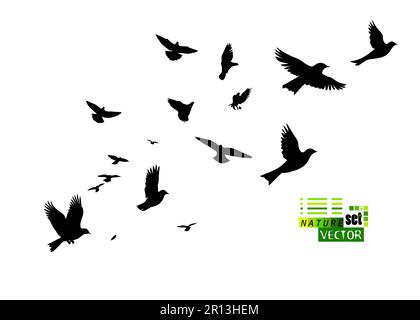 Ein Schwarm fliegender Vögel. Vektorgrafik Stock Vektor