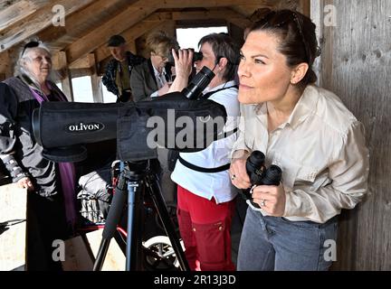 Crown Princess Victoria während eines Ausflugs in Hjälstaviken im Zusammenhang mit der Jahrestagung des World Wildlife Fund WWF im Schloss Ekolsund Stockfoto