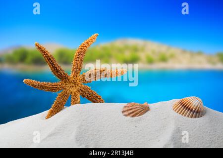 Orangensternfische mit Ozean, an weißem Sandstrand, Himmel und Meereslandschaft, seichte dof Stockfoto