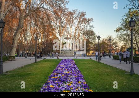 Retiro-Park mit Galapagos-Brunnen (Fuente de los Galapagos) - Madrid, Spanien Stockfoto